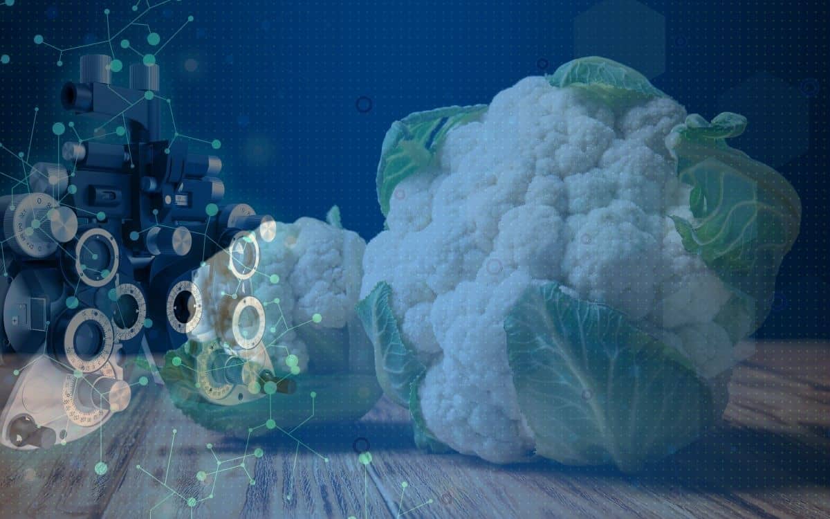 Cauliflower Simplify Gardening