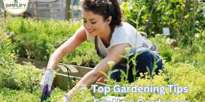 60 Top Gardening Tips For New Gardeners