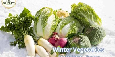 Expert Advice On What Winter Vegetables Can I  Grow?