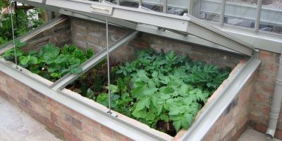 Building Cold Frames: Extending Your Growing Season