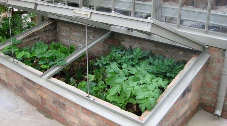 Coldframe — honest, systems-based gardening advice from simplifygardening.com