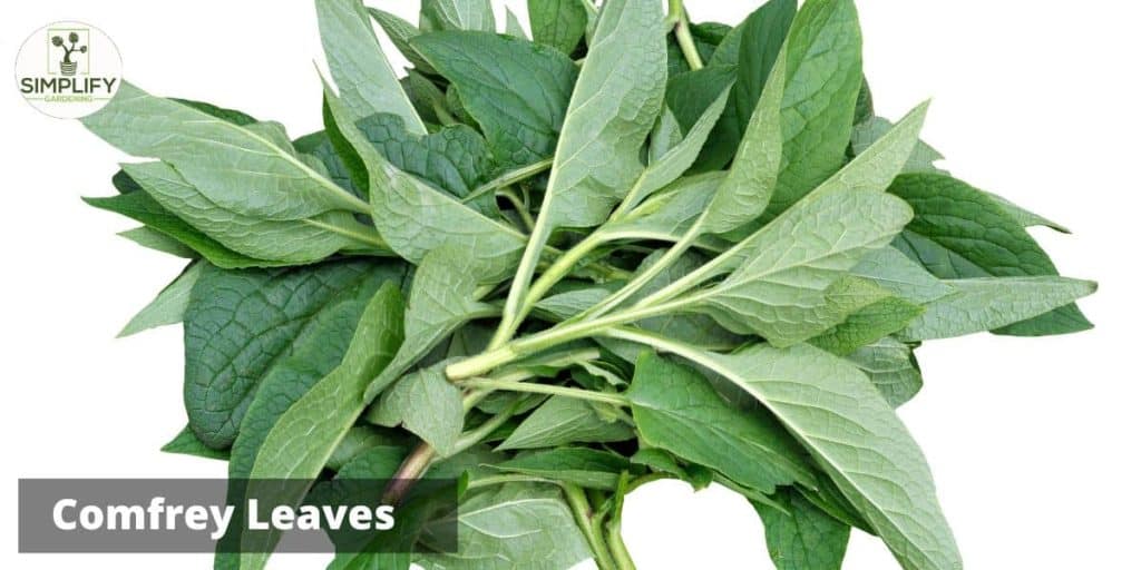 How To Make Comfrey Fertilizer (Free Plant Food) Simplify Gardening