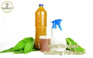 A photo of a bottle "Comfrey Tea Fertilizer" and a spray bottle next to it. The bottles are surrounded by fresh comfrey leaves.