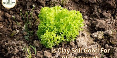 Is Clay Soil Good For Plant Growth? The Facts
