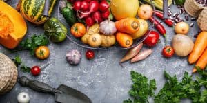 A colorful assortment of fresh vegetables including tomatoes, peppers, carrots, cucumbers, and lettuce. Discover how much does a vegetable garden cost.