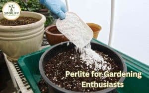 A person pouring perlite onto a mixing soil in a container, demonstrating why gardeners use perlite for improved plant growth.