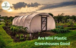 A photo of a mini plastic greenhouse filled with lush green plants, illustrating the question "Are mini plastic greenhouses good?"