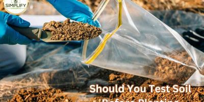 9 Best DIY Soil Test Kits (Tested) Which Is Best? - Simplify Gardening