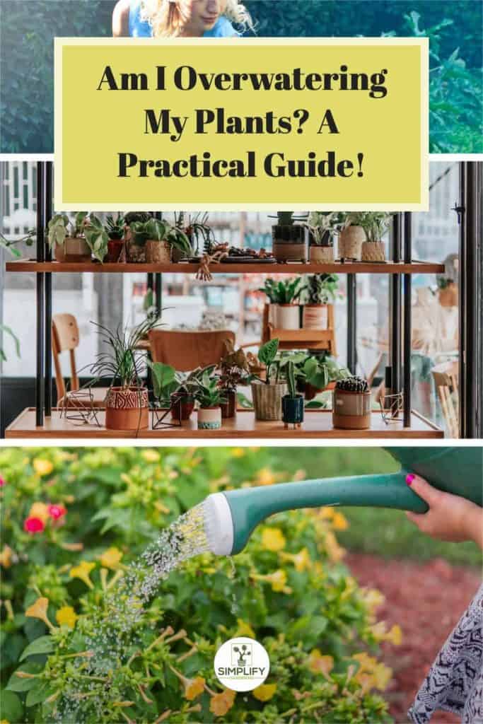 Am I Overwatering My Plants? A Practical Guide! Simplify Gardening