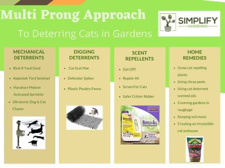 How To Stop Cats Using The Garden As A Toilet. Simplify Gardening