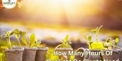 How many hours of daylight do plants need?