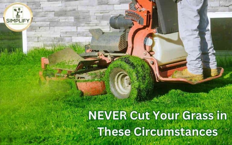 You never cut grass circumstances — practical growing guidance from Tony O'Neill at simplifygardening.com