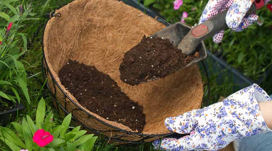 Picture of adding potting soil to a hanging basket