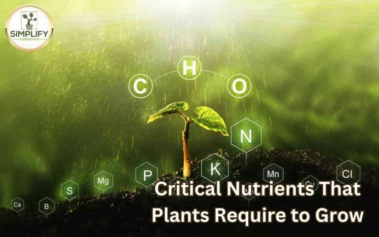Critical nutrients plants require grow covered in Tony O'Neill's Simplify Gardening at simplifygardening.com