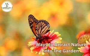 colorful butterfly gracefully perches on vibrant flowers in a garden, showcasing the beauty of nature and how to embrace it in your own garden.