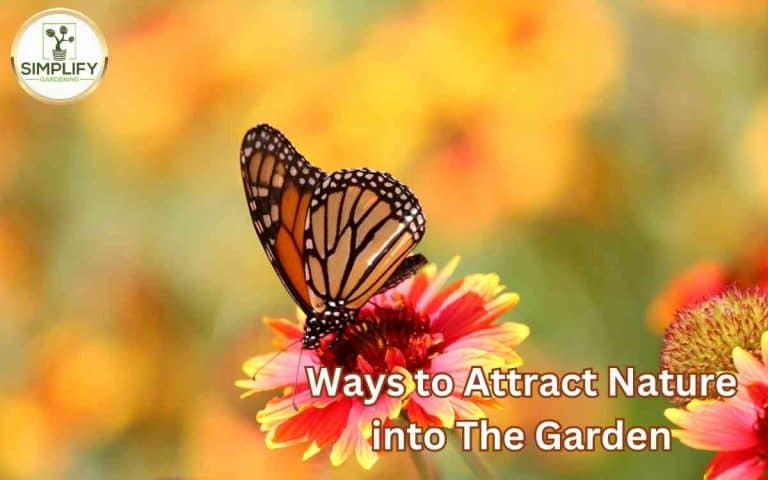 Ways attract nature garden best results arranged for efficient crop rotation and productive seasonal vegetable growing