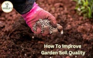 A gardener spreading manure pellets on the soil to improve garden soil quality.