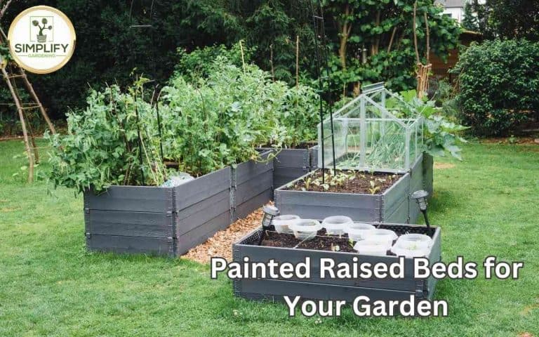 Beautiful practical painted raised beds garden arranged for efficient crop rotation and productive seasonal vegetable growing