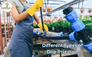 A gardener tending to her drip-irrigated garden, showcasing different types of drip irrigation.