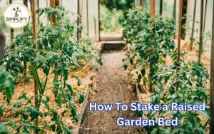 A photo of raised garden beds with a sturdy stake placed in one of them, ready for supporting plants. The raised garden bed stake ensures proper plant growth and stability.