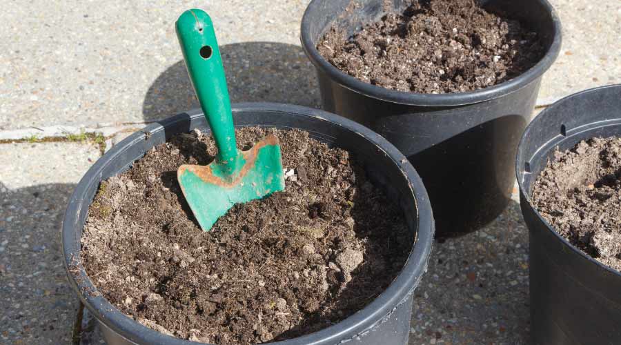 soil in buckets with a green trowel