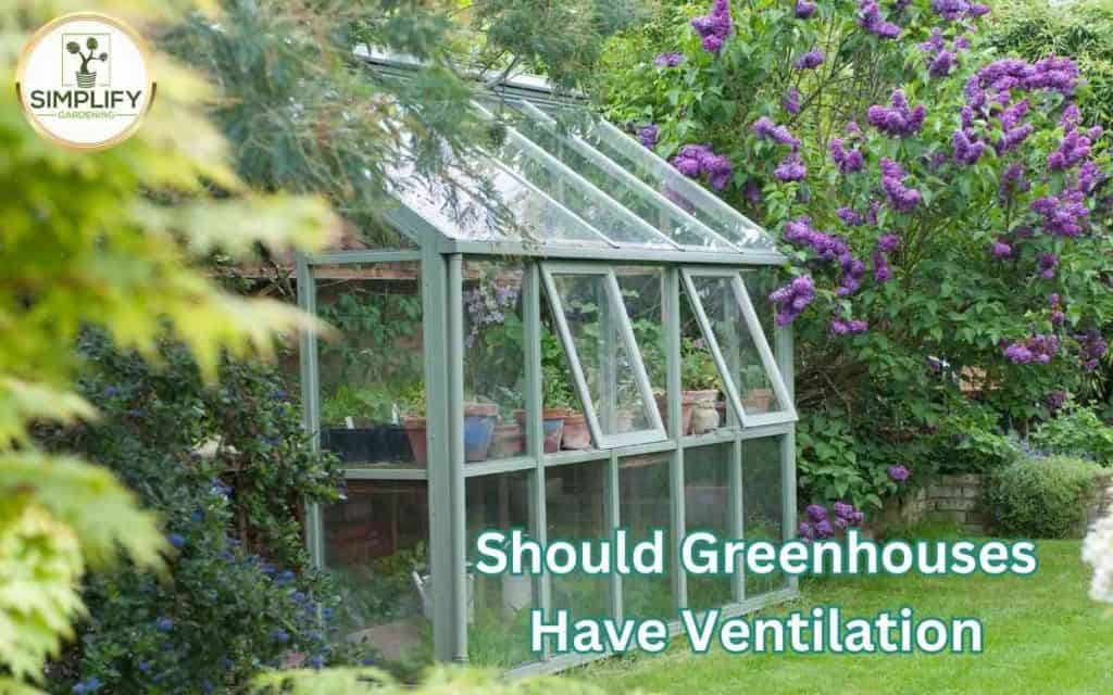Greenhouse Growing Simplify Gardening