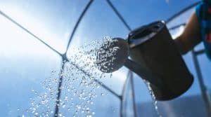 How to Use Boiling Water to Kill Weeds - Simplify Gardening