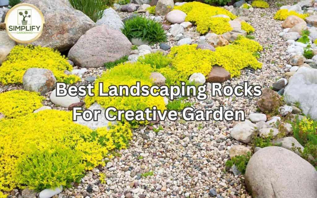 25 Best Landscaping Rocks for Creative Gardens - Simplify Gardening