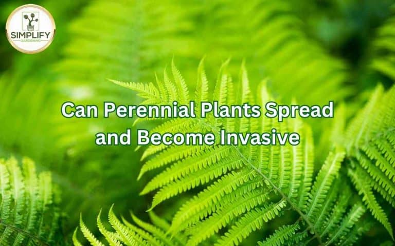 Perennial plants spread become invasive — honest, systems-based gardening advice from simplifygardening.com