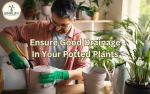 A gardener carefully making drainage holes on his pots, ensuring good drainage for potted plants.