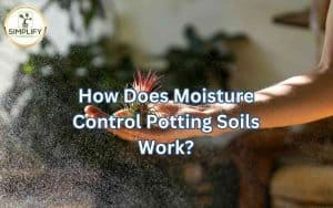 A person's hand sprays water mist onto a plant, demonstrating how moisture control potting soil works.
