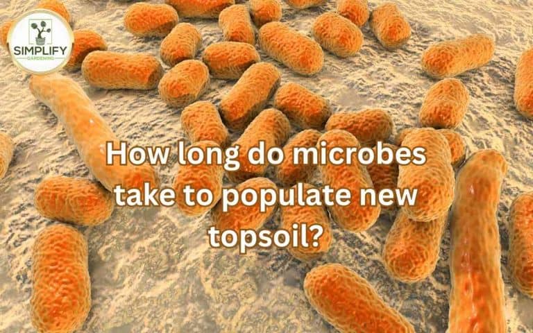 Long take microbes populate topsoil — practical growing guidance from Tony O'Neill at simplifygardening.com