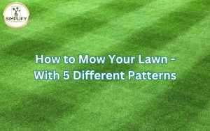 visually pleasing, freshly mowed lawn displaying a diamond pattern, showcasing different patterns on how to mow your lawn.