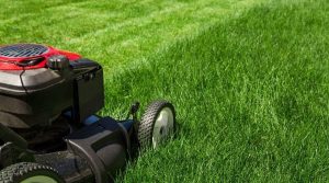 How to Mow Your Lawn (5 Different Patterns) - Simplify Gardening
