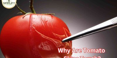 Why do tomato plants have hairs? What you never knew! - Simplify Gardening