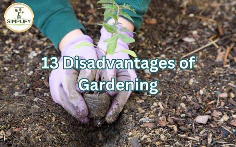 Disadvantages gardening you never knew covered in Tony O'Neill's Simplify Gardening at simplifygardening.com