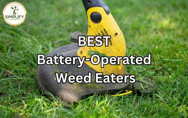 Best battery operated weed eaters neat backyard — honest, systems-based gardening advice from simplifygardening.com