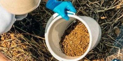 Expert Tips for Making the Best Soil for Containers - Simplify Gardening