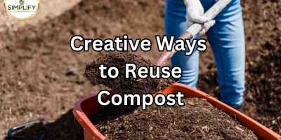 From Trash to Treasure: Creative Ways to Use Used Compost
