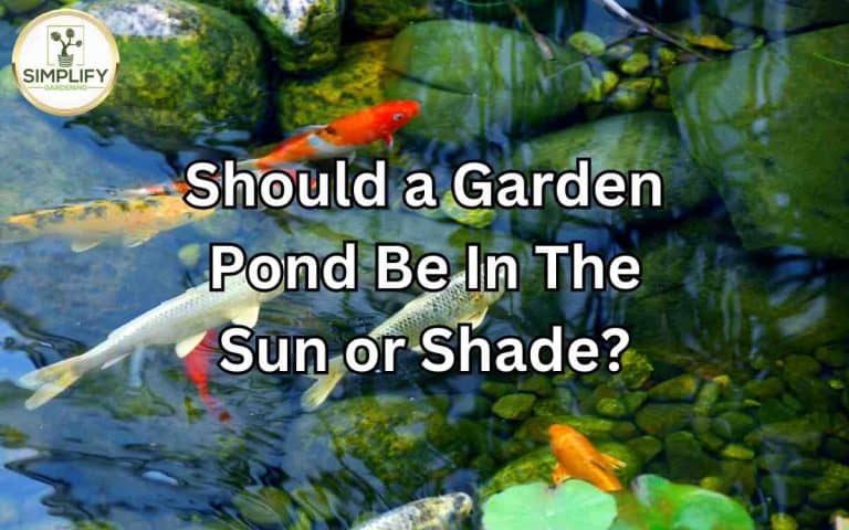 Garden pond sun shade showing a well-managed vegetable growing space for maximum seasonal yield