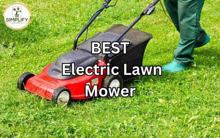 Ultimate guide choosing best electric lawn mower for efficient vegetable garden maintenance and seasonal preparation