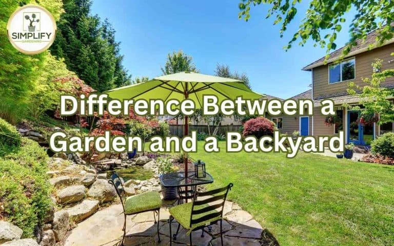 Kitchen garden with difference garden backyard — practical layout and growing from simplifygardening.com