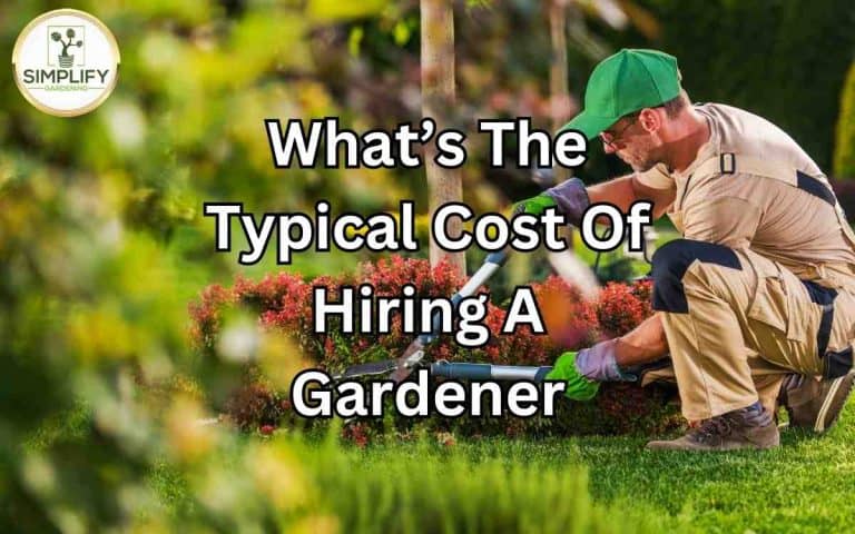 Whats typical cost hiring gardener — practical growing guidance from Tony O'Neill at simplifygardening.com