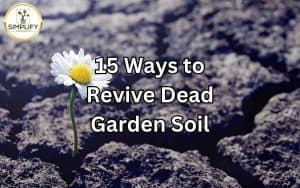 A picture showing a person revitalizing dead garden soil, using various methods to revive its fertility and health.