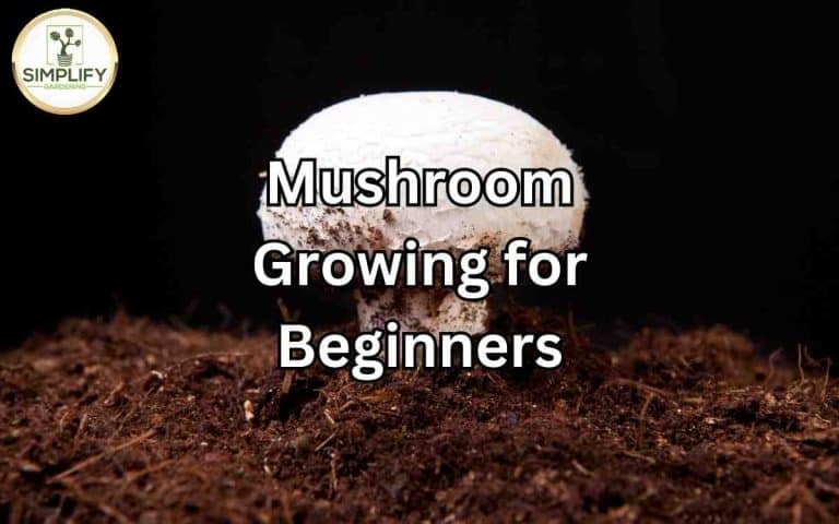 Mushroom growing beginners everything you need know — honest, systems-based gardening advice from simplifygardening.com