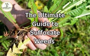 An image illustrating suffocation of weeds in a garden, showcasing effective methods to control weed growth.