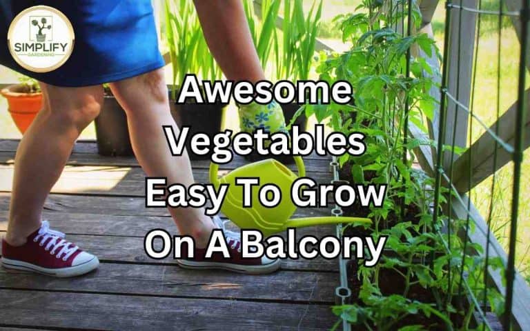 Awesome vegetables easy grow balcony — honest, systems-based gardening advice from simplifygardening.com