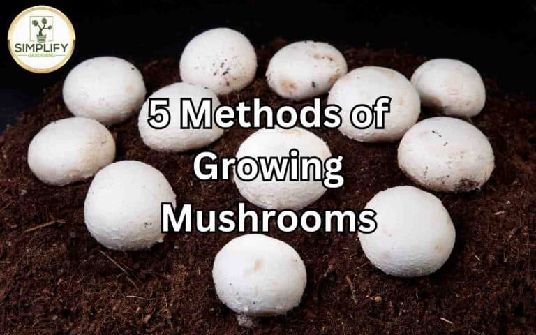 Methods growing mushrooms covered in Tony O'Neill's Simplify Gardening at simplifygardening.com