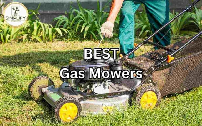 Best gas mowers backyard — practical growing guidance from Tony O'Neill at simplifygardening.com