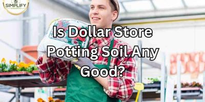 Dollar Store Potting Soil Any Good? Know What You’re Buying.
